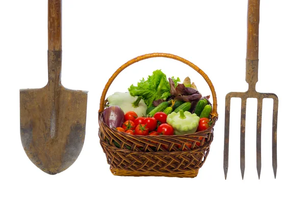 Basket with vegetables and garden tools on white — Stock Photo, Image