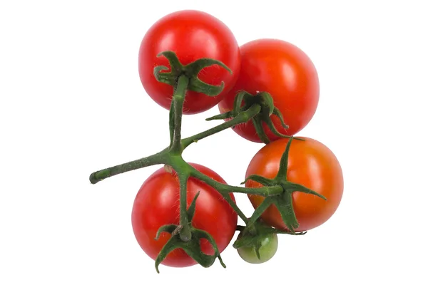 Cinque pomodori rossi su un ramo — Foto Stock