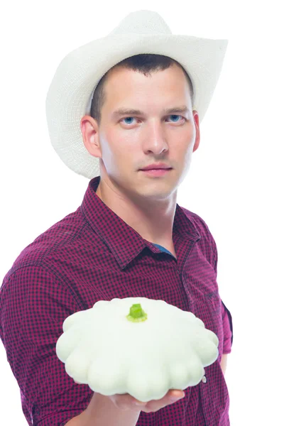 Récolte de courges entre les mains des hommes — Photo