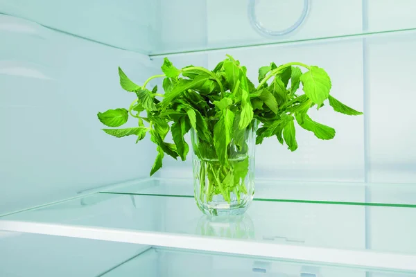 mint in a glass on a shelf in the refrigerator, front view, close-up