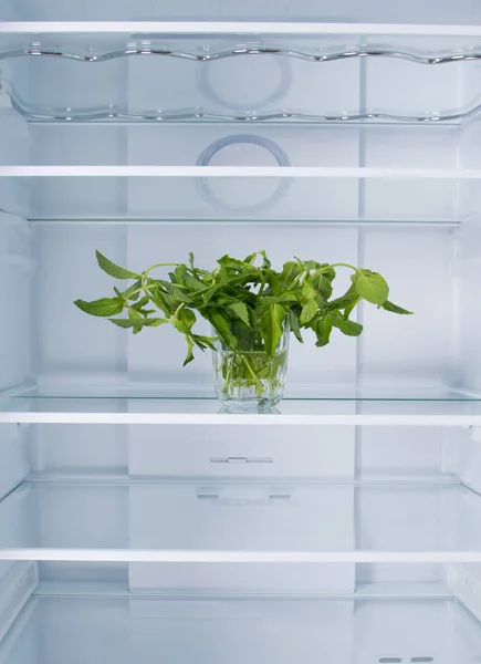 against the background of a white refrigerator, there is mint in a glass on a glass shelf