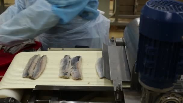 Balık üretim konveyör korur — Stok video