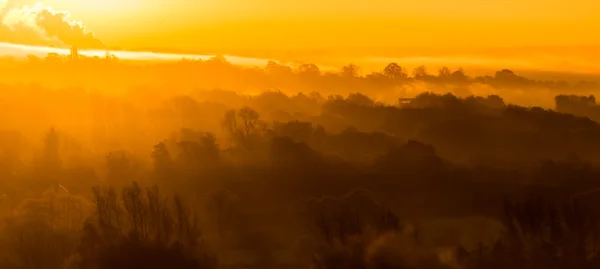 Morning rays Morning sun rays through misty woods creating a golden haze showing miles of landscape — Stock Photo, Image
