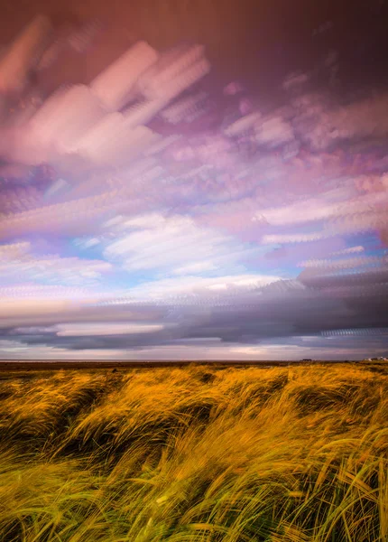 Timelapse movement of clouds across marshland and grasses in sun — Stock Photo, Image
