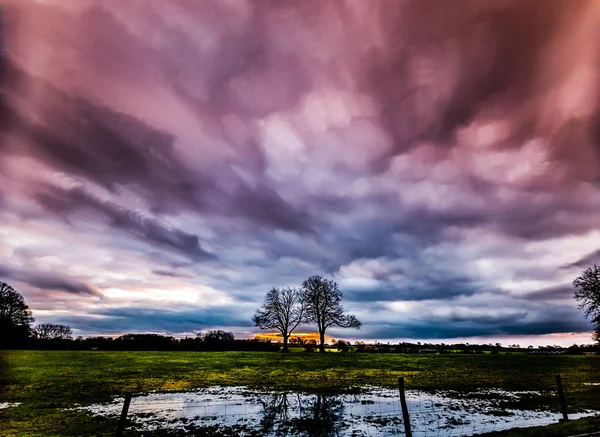 Timelapse movement of storm clouds at sunset with silhouette of two trees — Stock Photo, Image