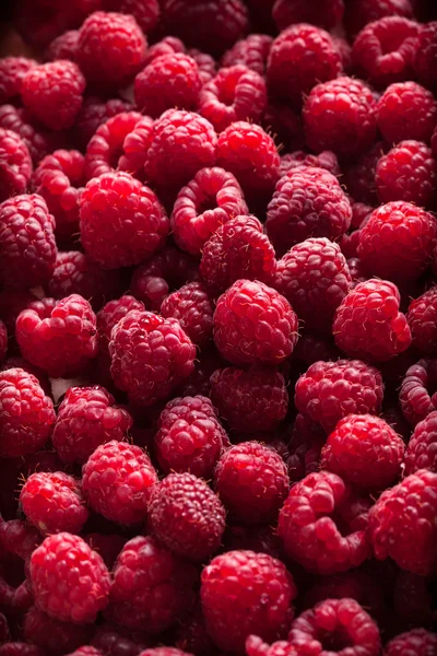 Raspberries group on dark background Royalty Free Stock Photos