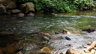 Sakin bir şekilde kayaların arasından akan vahşi bir dere..