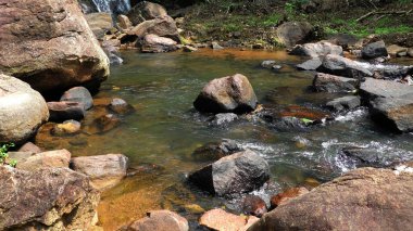 Sakin bir şekilde kayaların arasından akan vahşi bir dere..