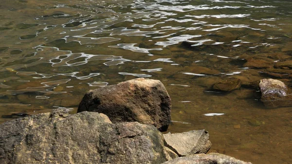 Sakin bir şekilde kayaların arasından akan vahşi bir dere..