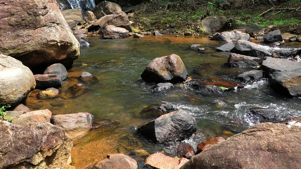 Sakin bir şekilde kayaların arasından akan vahşi bir dere..