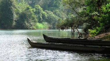 Kerala, Hindistan 'da bir sabah manzarası, bir nehir ve feribot içerir..