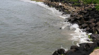 Fort Kochi, Kerala, Hindistan 'daki kayalık plaj..