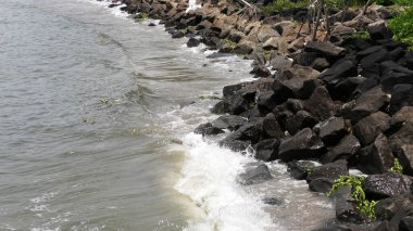 Fort Kochi, Kerala, Hindistan 'daki kayalık plaj..