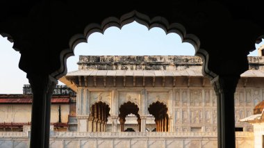 Agra Kalesi (Qila Agra), Agra, Uttar Pradesh, Hindistan 'ın karmaşık oymaları. UNESCO Dünya Mirası Alanı.