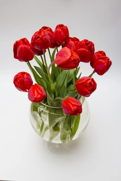 Žluté tulipány ve váze — Stock fotografie