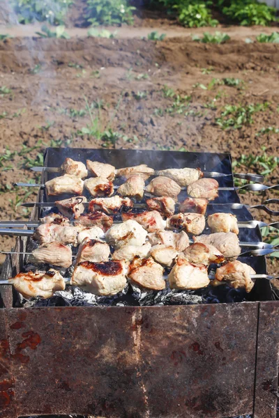 Carne surtida de pollo y cerdo y varias verduras en la parrilla barbacoa cocinada para la cena familiar de verano — Foto de Stock