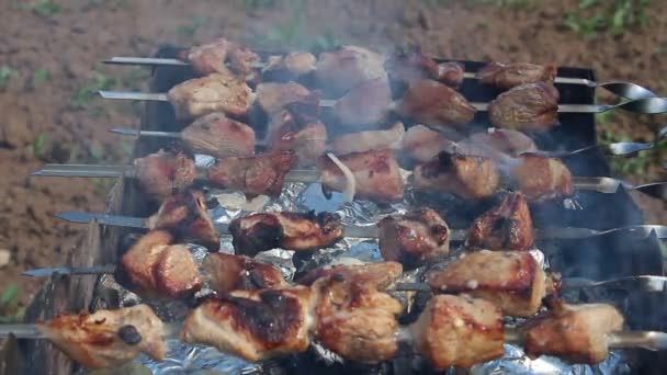 Brochettes de crevettes et légumes sur barbecue — Video