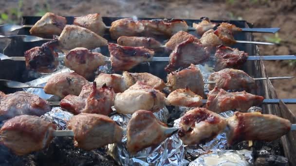 Garnalen en plantaardige spiesjes op barbecue grill — Stockvideo