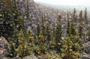 Unique rock formations and scenic view in the mountains with first snow, hiking area with green fir trees are standing among rocks. The titanic trails recreation site, Tumbler Ridge, BC, Canada
