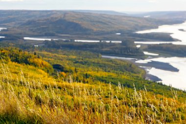 Sarı ve yeşil sonbahar yapraklı ormanlarla çevrili vadideki tepeden nehre bakın. Sagitawa gözcüsü, Peace River, Alberta, Kanada.