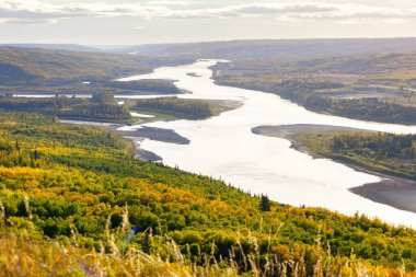 Sarı ve yeşil sonbahar yapraklı ormanlarla çevrili vadideki tepeden nehre bakın. Sagitawa gözcüsü, Peace River, Alberta, Kanada.