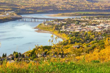 Nehrin her iki tarafından tepeye, köprüye, ağaçlardaki sonbahar sarı yapraklarına bak. Peace River, Alberta, Kanada.