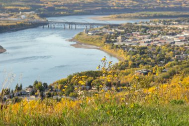 Nehrin her iki tarafından tepeye, köprüye, ağaçlardaki sonbahar sarı yapraklarına bak. Peace River, Alberta, Kanada.