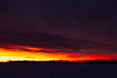 Kış bozkırlarında gün batımında dramatik bir sahne: kırmızı, turuncu ve mor renkler gökyüzünde oynuyor, siyah ağaç siluetleri ufukta.