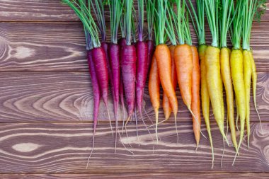 Kahverengi ahşap masanın üzerinde renkli organik sarı, kırmızı ve turuncu havuçlar (gökkuşağı karışımı) ve yeşil yapraklar bulunmaktadır. Taze sonbahar mahsulü.