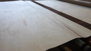 Thin veneer wood sheets sliding along a conveyor belt during plywood production at a woodworking facility, showcasing material handling automation.