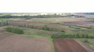 Aerial view of expansive farmland with mixed plowed and overgrown fields, bordered by forest and scattered trees, under soft daylight.