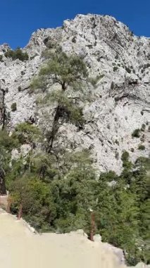 Engebeli dağ arazisi manzarası ve canlı yeşillik, göz kamaştırıcı manzarayı aydınlatan pürüzsüz bir kamera tavasıyla çekildi.