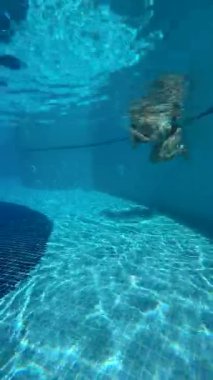 A young blonde woman gracefully dives into a swimming pool, showcasing her athleticism and the shimmering blue water, emphasizing the beauty of underwater movement