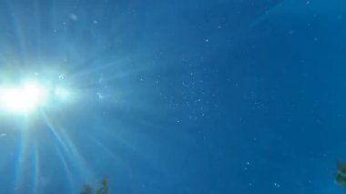Underwater scene captures sunlight filtering through the water, with the camera panning upward to reveal a shimmering surface, creating a tranquil aquatic ambiance