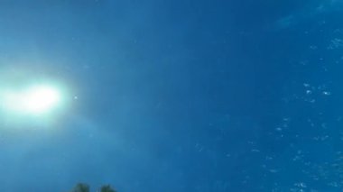 Underwater footage showcases a swimmer's fluid motion as they glide through the vibrant blue water, with bubbles rising and sunlight shimmering, camera follows smoothly