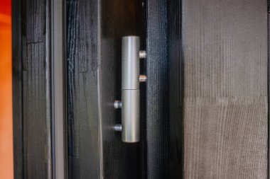 Close-up of a modern cylindrical metal hinge fixed to a dark wooden door frame, showcasing minimalistic architectural and hardware detailing.