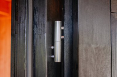 Close-up of a modern cylindrical metal hinge fixed to a dark wooden door frame, showcasing minimalistic architectural and hardware detailing.