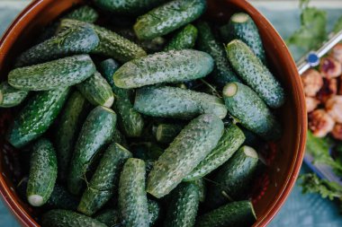 Taze yeşil salatalıklarla dolu, sağlıklı yemek ve mutfak vitrinleri için ideal renkleri ve dokularını vurgulayan bir kırsal kase.