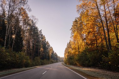 Renkli ağaçlar ve açık bir gökyüzü olan sonbahar ormanı boyunca kıvrımlı bir yol. Huzurlu bir sabahta altın ve yeşil yapraklarla çevrili bir araba uzaklardan gidiyor..