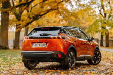 Valmiera, Letonya - 17 Ekim 2025: Stil Peugeot SUV renkli yapraklarla dolu güzel bir sonbahar yolunda park edilmiş sıcak bir atmosfer yaratıyor.