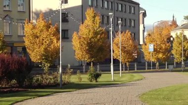 Valmiera, Letonya - 17 Ekim 2025: Canlı sarı ağaçlar kentsel bir ortamda dolambaçlı bir yol çiziyor, kamera manzaranın güzelliğini ve mimarisini gözler önüne seriyor.