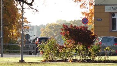 Valmiera, Letonya - 17 Ekim 2025: Renkli sonbahar yaprakları ve geçen araçlar canlı bir sahne oluşturur, canlı manzara elementlerini yakalamak için kamera tavaları