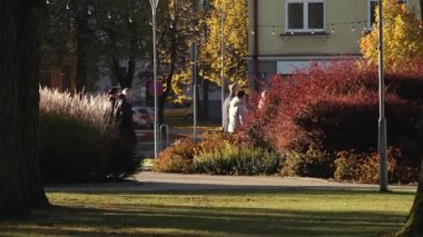 Valmiera, Letonya - 17 Ekim 2025: Çeşitli arkadaş grubu canlı sonbahar parkında geziniyor, kamera hareketlerini takip ediyor ve manzarayı yakalıyor.
