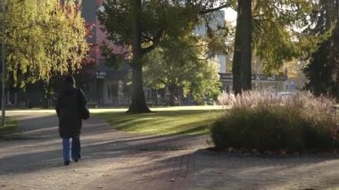 Valmiera, Letonya - 17 Ekim 2025: Siyah ceketli bir kadın, sonbahar ağaçlarıyla çevrili park yolunda yürüyor, kamera hareketlerini sorunsuzca takip ediyor