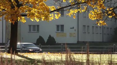 Valmiera, Letonya - 17 Ekim 2025: Canlı sonbahar yaprakları arabaların geçtiği sahneyi çerçeveliyor, kamera hareketli atmosferi ve çevreyi yansıtıyor