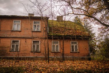 Terk edilmiş ahşap yapı, doğanın güzelliğini ve çürümesini gösteren, canlı sonbahar yapraklarıyla çevrili, yosun kaplı ve yıpranmış duvarlara sahiptir.