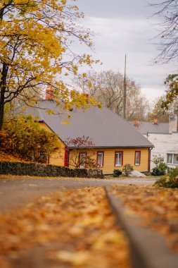 Mazsalaca, Letonya - 22 Ekim 2025: Huzurlu bir atmosferi olan huzurlu bir sokakta canlı sonbahar yapraklarının arasına kurulmuş güzel sarı bir ev
