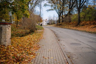 Mazsalaca, Letonya - 22 Ekim 2025: Scenic caddesi renkli sonbahar yaprakları ve arka planda barışçıl bir ortam yaratan büyüleyici bir evle dolu