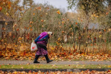 Mazsalaca, Letonya - 22 Ekim 2025: Yaşlı kadın renkli yapraklarla dolu canlı bir sonbahar sahnesinde yol boyunca yürürken bir çanta taşıyor