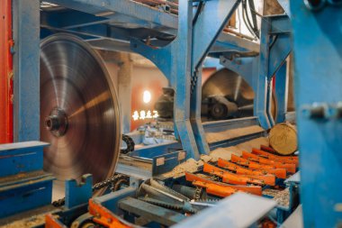 Sawmill makinelerinde dönen bıçaklar ve taşıma sistemi, modern bir atölyede keresteleri keresteye dönüştürme, endüstriyel teknoloji ve işçiliği ön plana çıkarma